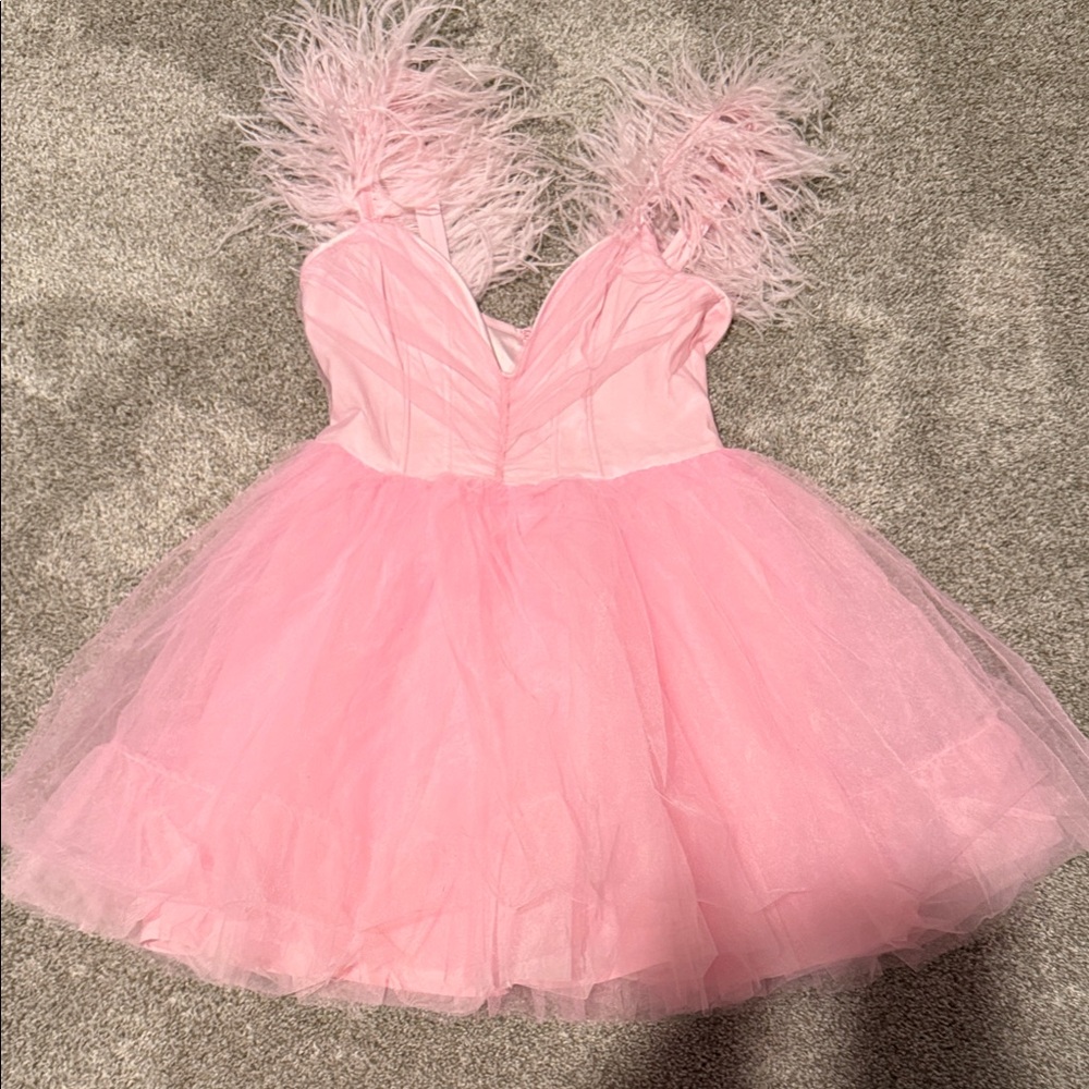 Luxe “So in Love” Feathered Mini Dress